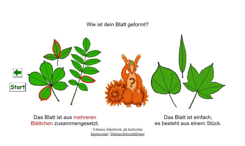 Biologieunterricht
