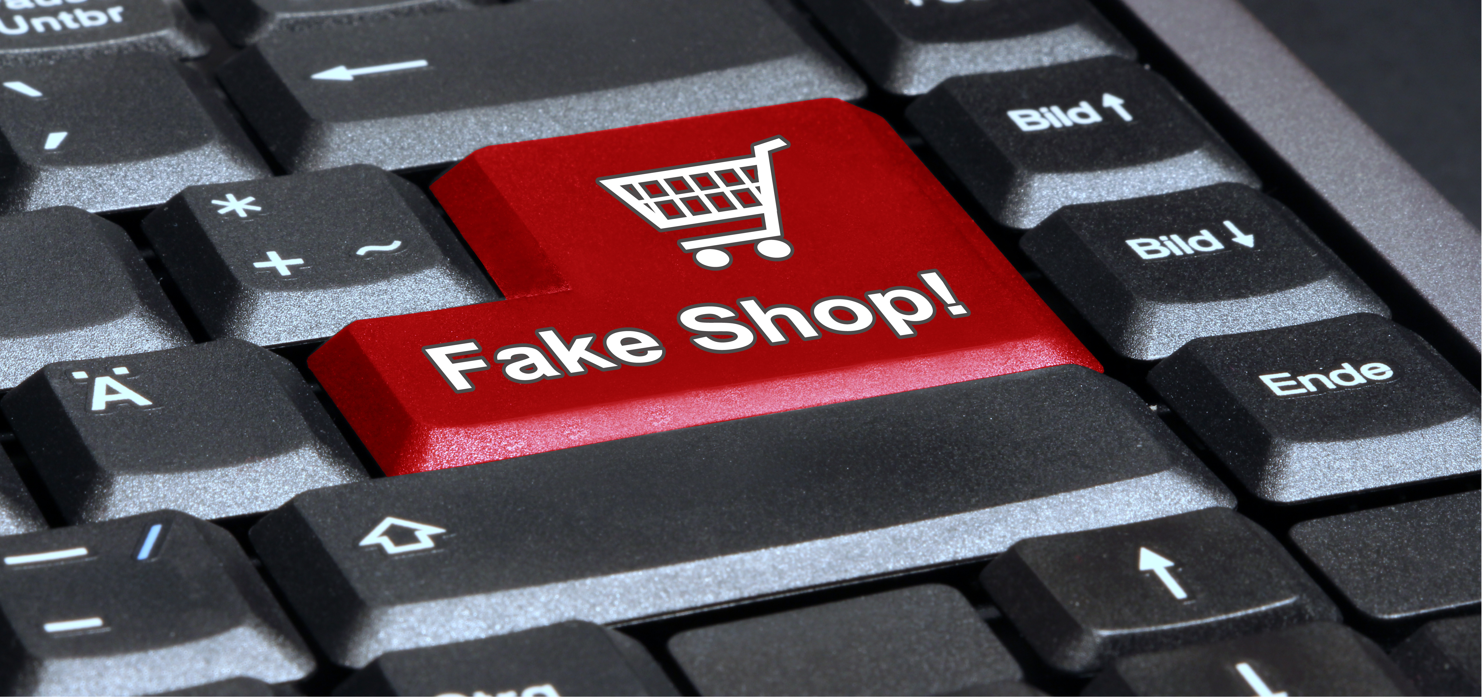 fake shop